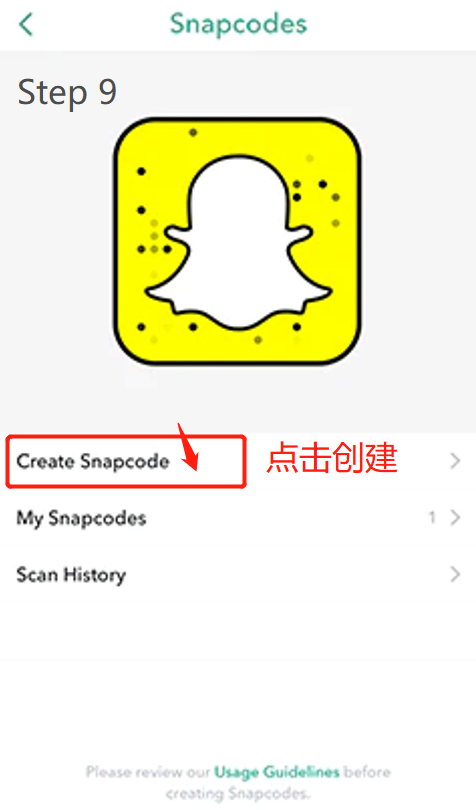 Snapchat注册操作细节