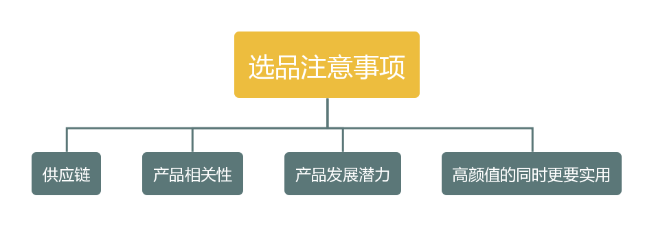 独立站卖家选品时需要注意事项